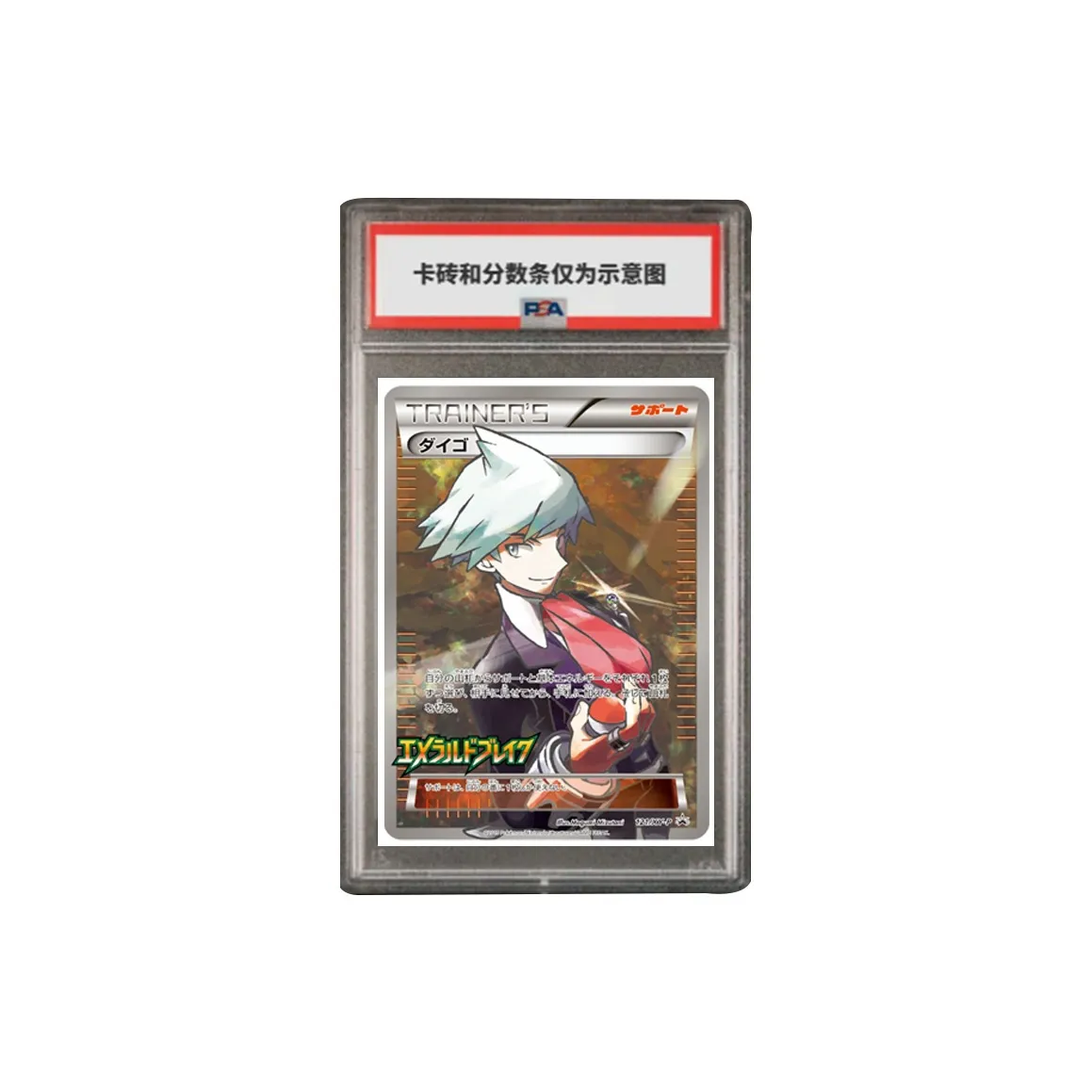 Pokemon Graded Cards
