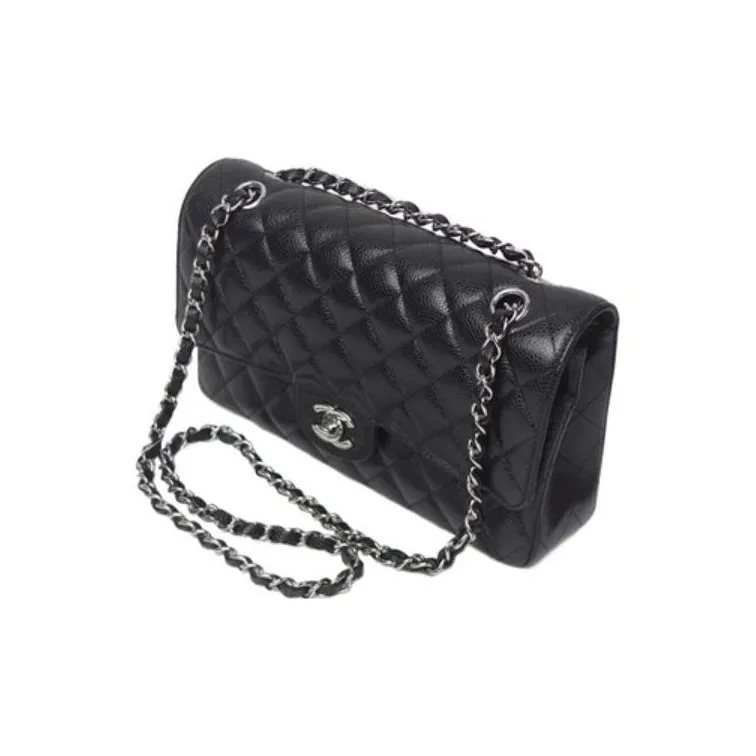 CHANEL Classic Flap CF Shoulder Bags-4