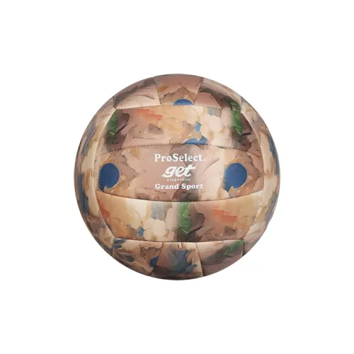 ProSelect PU Size 5 Volleyball Unisex Brown