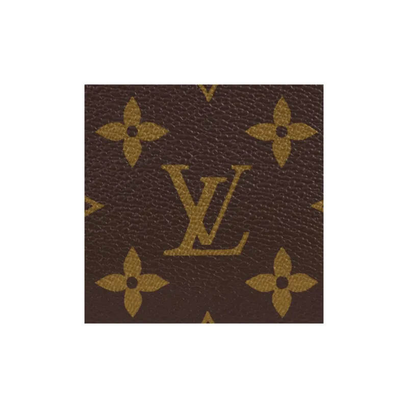 LOUIS VUITTON Monogram Cite Shoulder Bag-5