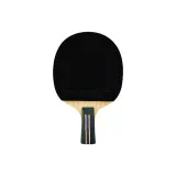 Penhold Grip+3 Balls+Racket Bag