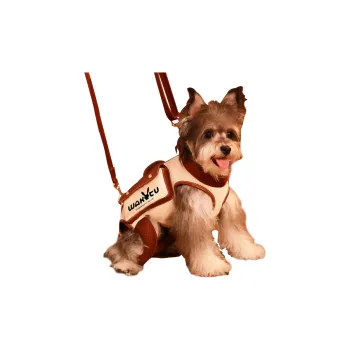 Wakytu Leashes