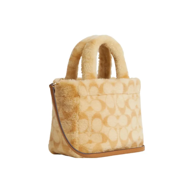 COACH Handbags-1