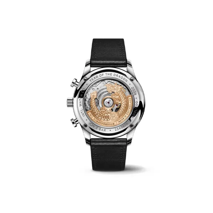 IWC Men Portugal Series Watch-1