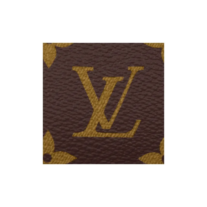 LOUIS VUITTON COIN Monogram Macassar Coated Canvas Card Holder Card Holder Regular Men's Brown & Blue-5
