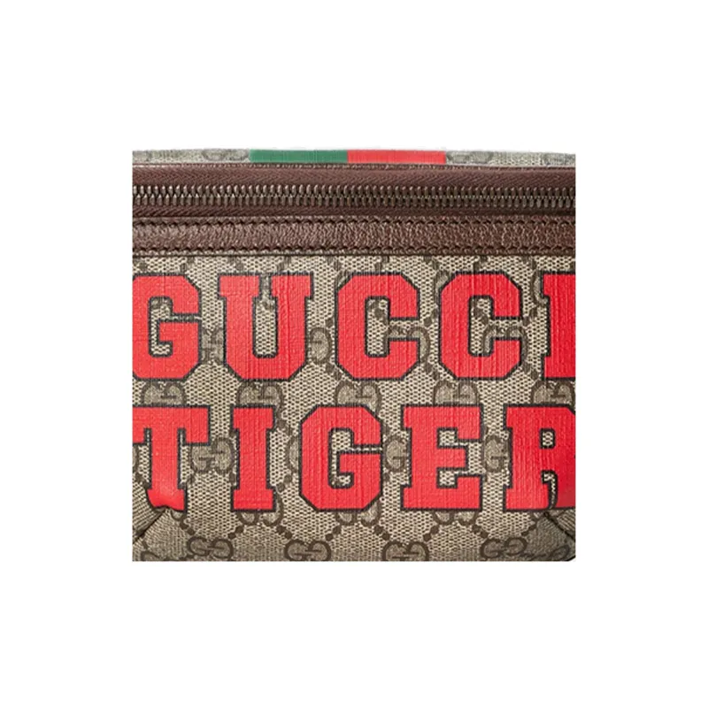GUCCI Canvas Sling Bag Fanny Pack Regular Men's Ebony/Brown-7