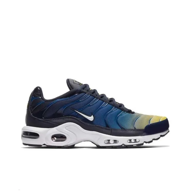 Nike Air Max Plus Gradient Pack Obsidian-1