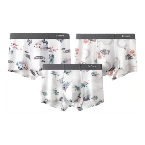 Underpants Womens Gift Box Set 5 Pack