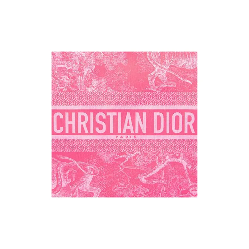 DIOR Travel Clutches-2