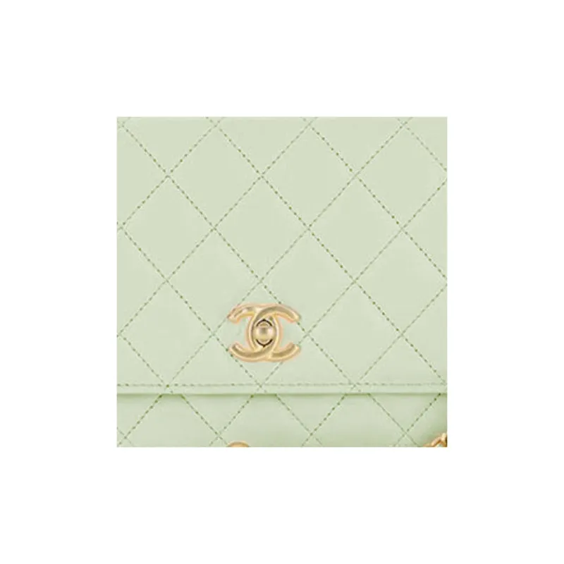 CHANEL WOC Smooth Lambskin Shoulder Bag, Crossbody Bag Women's Mint Green-5