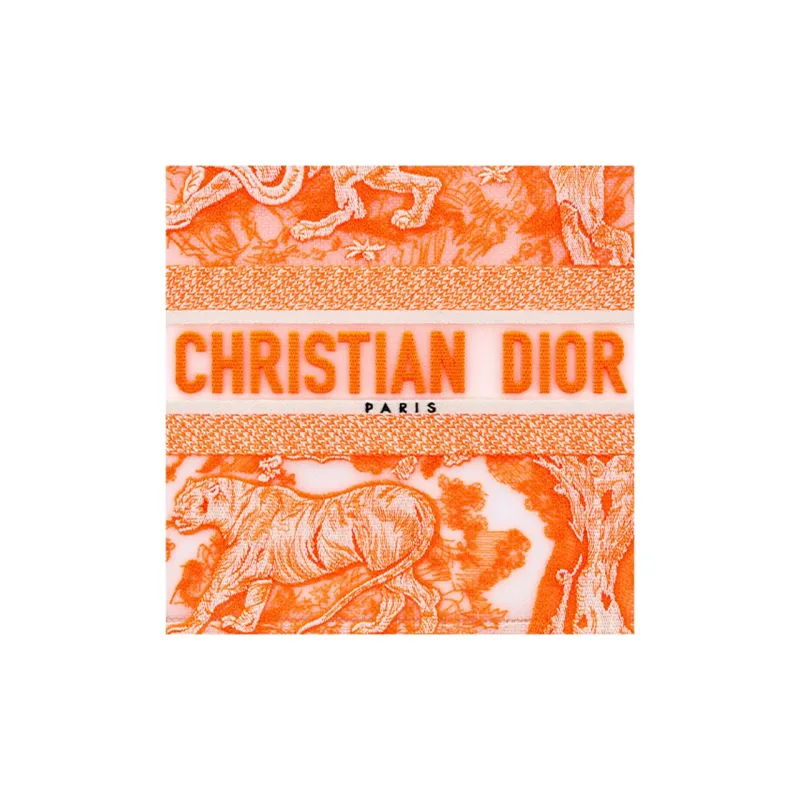 DIOR BookTote Handbags-4