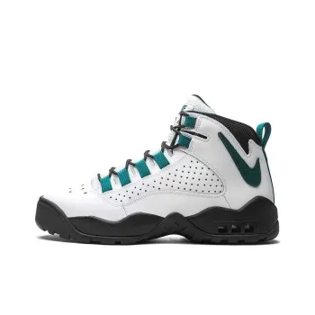 Nike Air Darwin White Teal Black