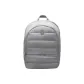 Rhinoceros Gray