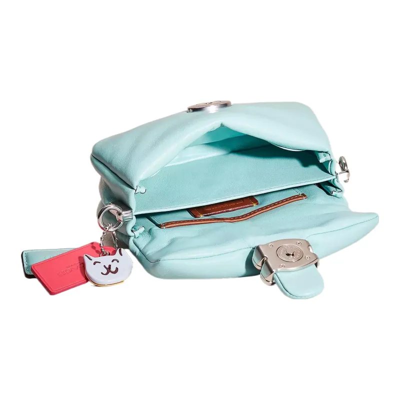 COACH Pillow Leather Pillow Bag Handbag Shoulder Bag Small Size Women's Silver & Faded Blue-2