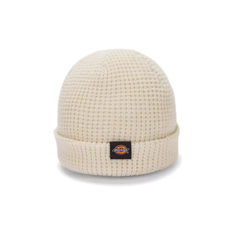 Dickies Acrylic Beanies Unisex Green/Black/Beige/Purple-2