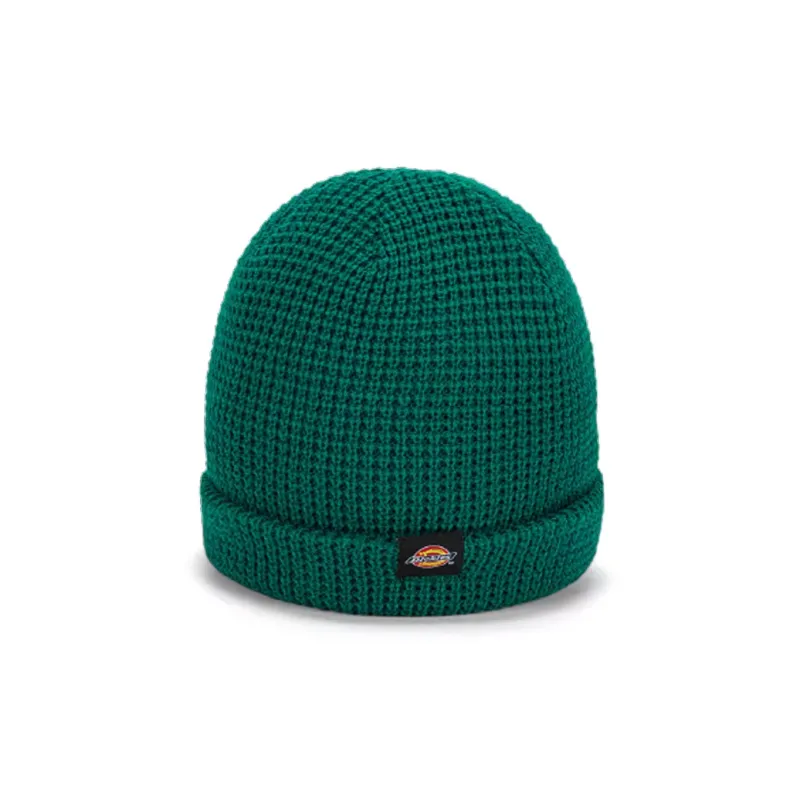 Dickies Acrylic Beanies Unisex Green/Black/Beige/Purple-0