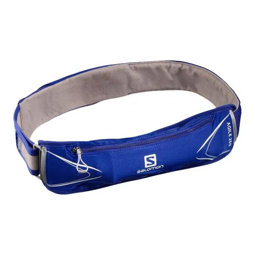 SALOMON Fanny Packs Blue