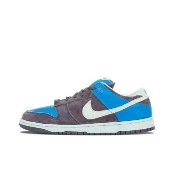 Nike Sb Dunk Low Aqua Chalk