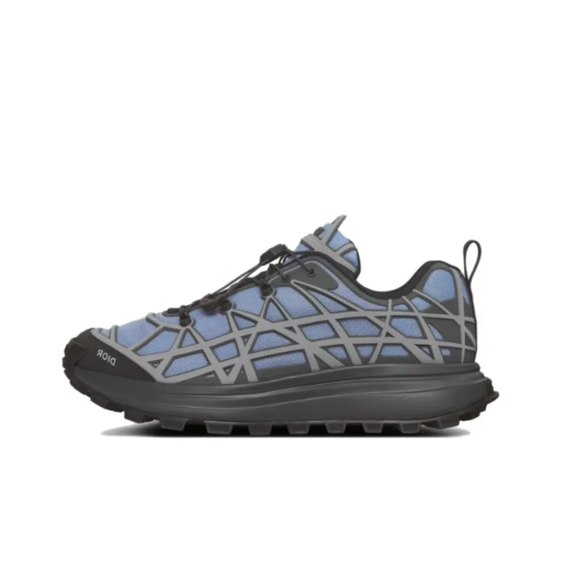 DIOR B31 Low Top Casual Shoes Men's Blue-0