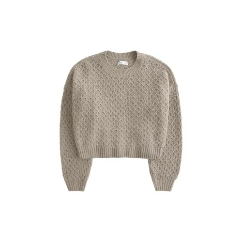 Hollister Knitwear Women's Light Brown