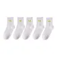 5 Pack (White)