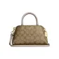 Bag+Dust Bag