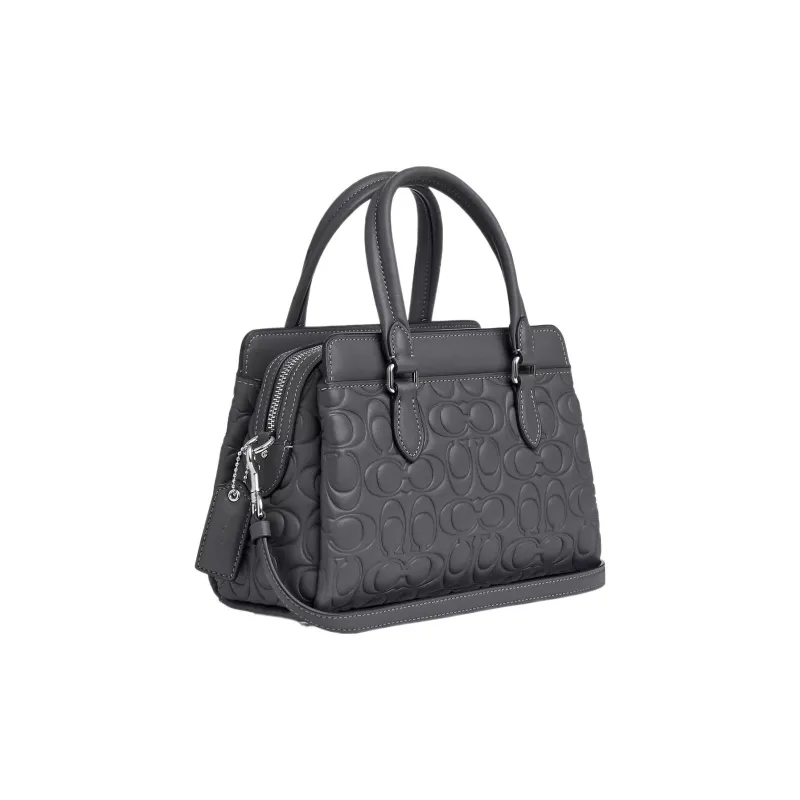 COACH Darcie Leather Handbag, Shoulder Bag Women's Gray-1