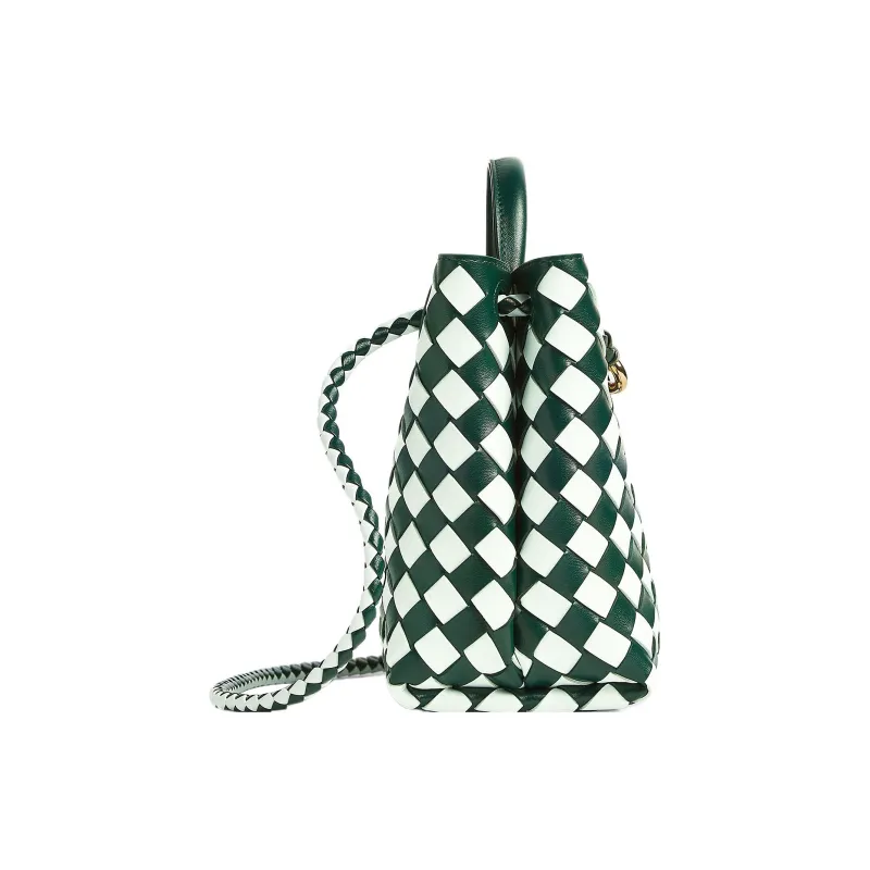 Bottega Veneta Andiamo Series Handbags-1