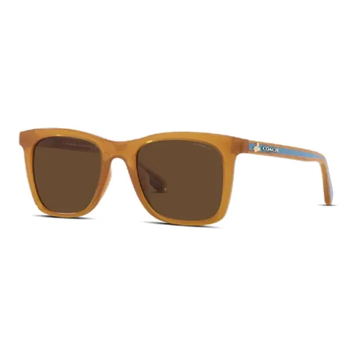 COACH Injection Molding Irregular Shape Sunglasses Unisex Brown