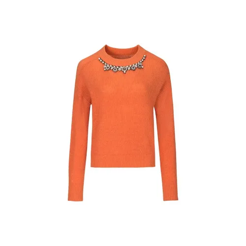 Tulip Taste Knitwear Women's Citrus Orange