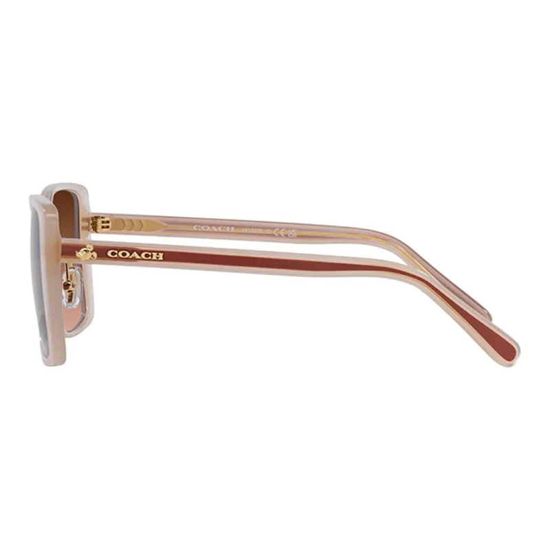 COACH Injection Molded Irregular Shape Sunglasses Unisex Beige-2