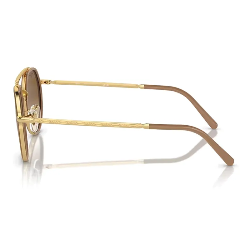 RayBan Irregular Frame Sunglasses-3