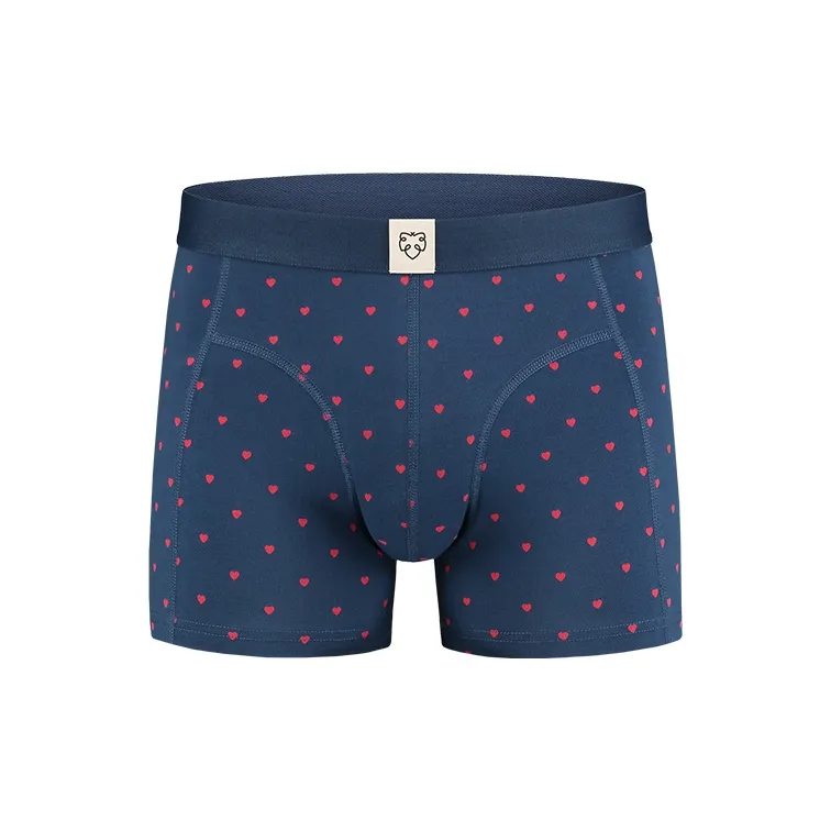 A damunderwear Dutch Luxury NASA Collaboration Boxer Shorts Men's 2 Boxes Of Gift Sets-10