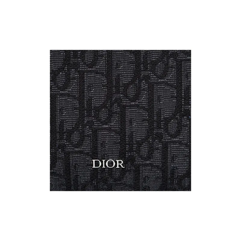 DIOR Lingot Fabric Cow Leather Patchwork Storage Bag Clutch Toiletry Bag Men's Black-4