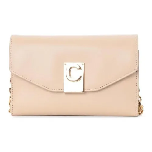 CELINE Shiny Smooth Calfskin Clutches Shoulder Bag Crossbody Bag Regular Women's Nude