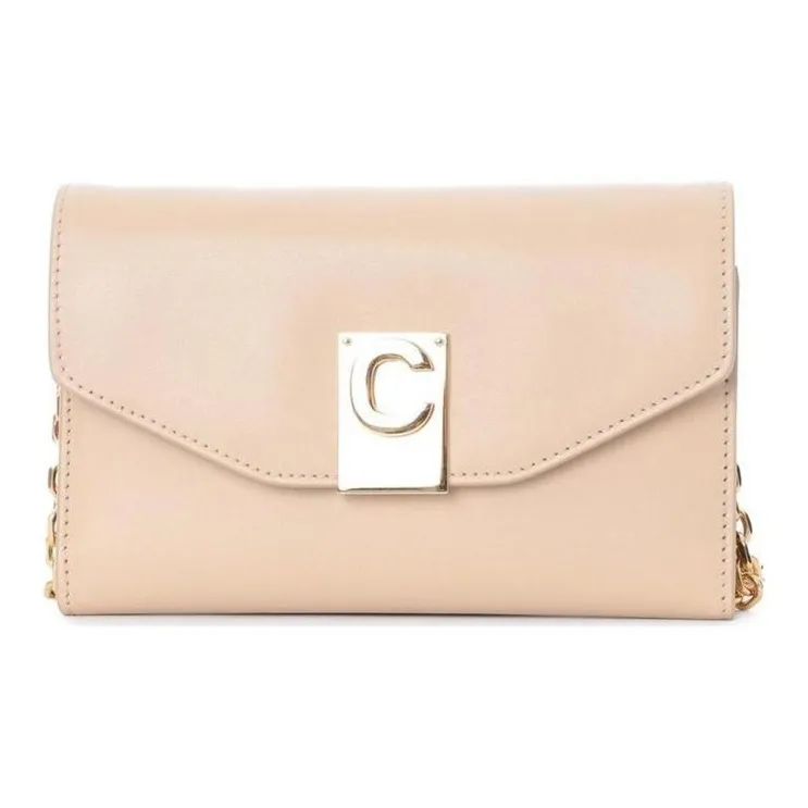 CELINE Shiny Smooth Calfskin Clutches Shoulder Bag Crossbody Bag Regular Women's Nude-0