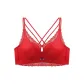 Festive Red