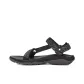 Black Gray