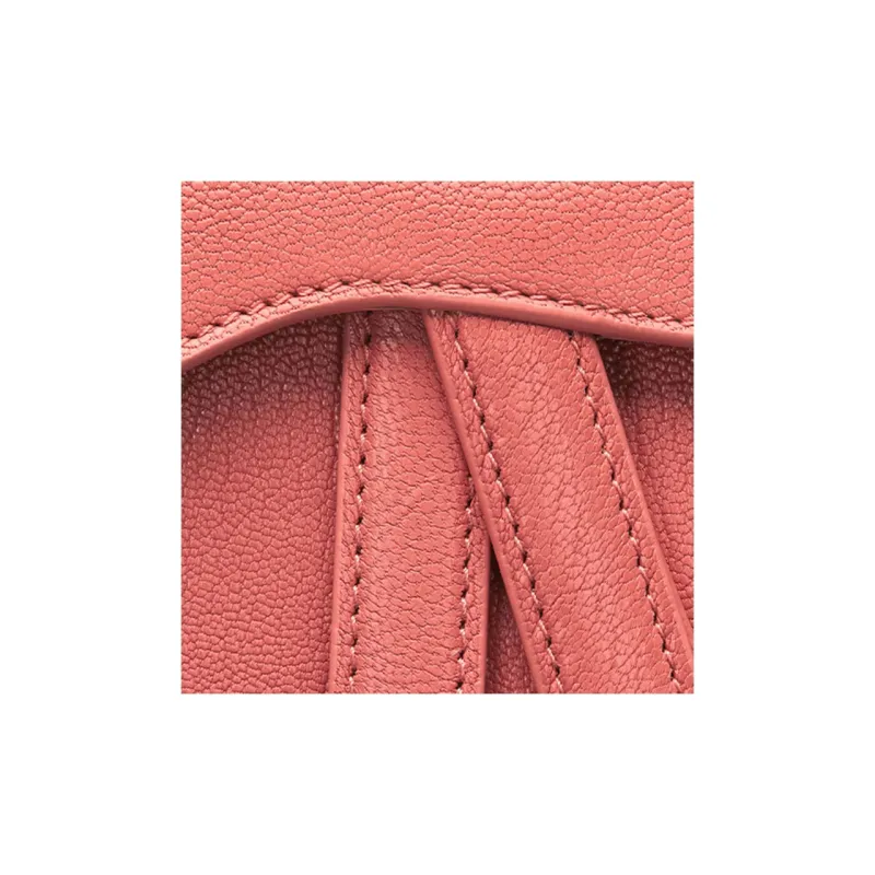 DIOR Sheepskin Saddle Bag Shoulder Bag Crossbody Bag Handbag Extra Mini Women's Ash Coral Pink-5