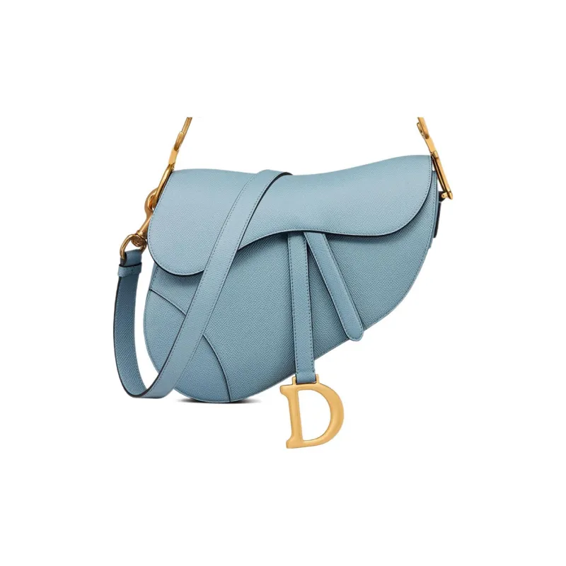 DIOR Saddle Handbags-5