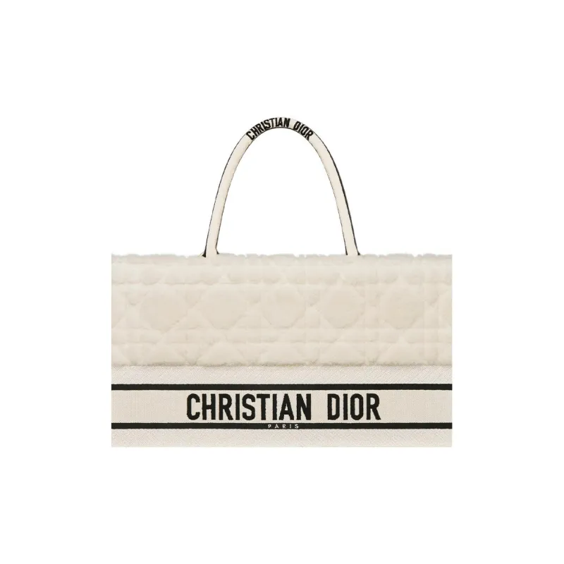 DIOR BookTote Handbags-4