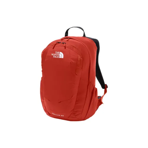 THE NORTH FACE Backpack Reddish Brown Enamel