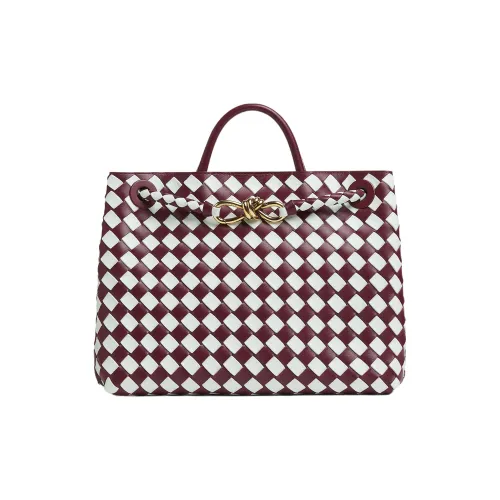 Bottega Veneta Medium Andiamo Bag Barolo/Glacier