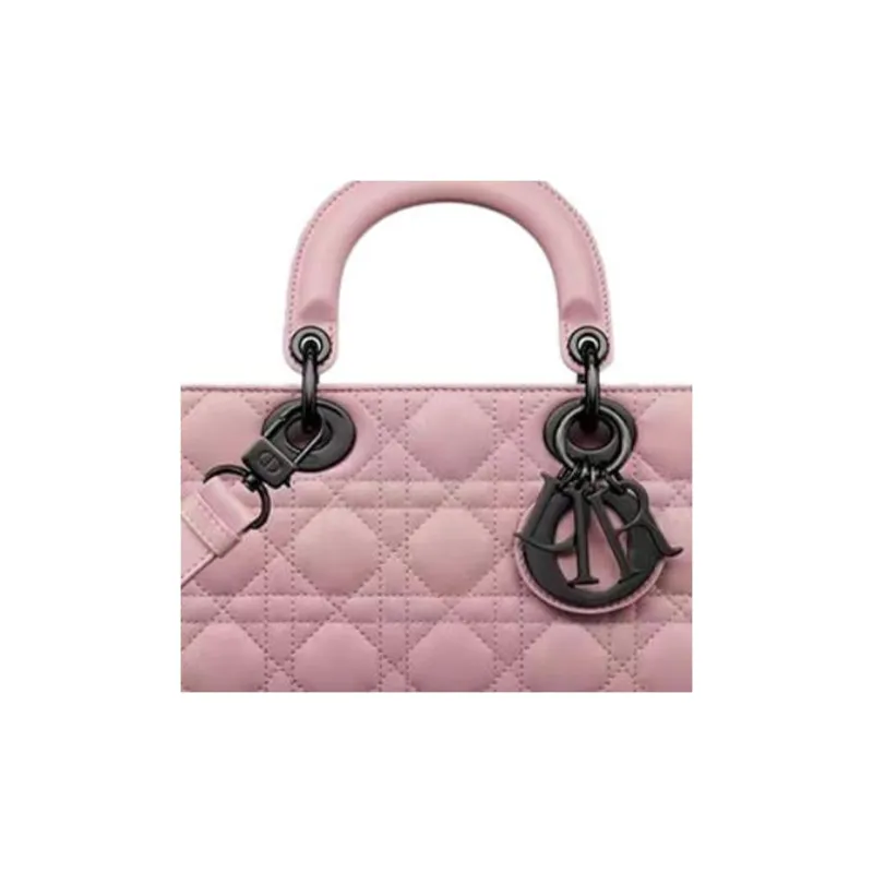 DIOR Lady D Joy Handbags-5