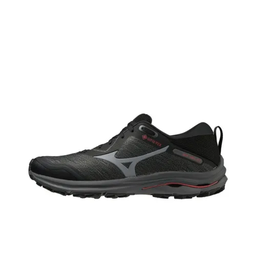 Mizuno Wave Rider   GORE-TEX 2E Wide 'Iron Gate Bittersweet'