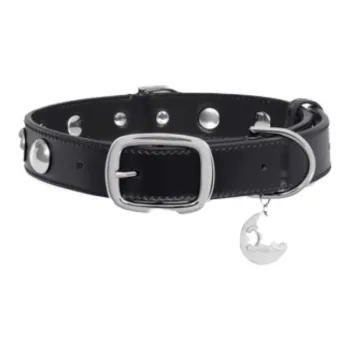 CELINE Dog / Cat Collars
