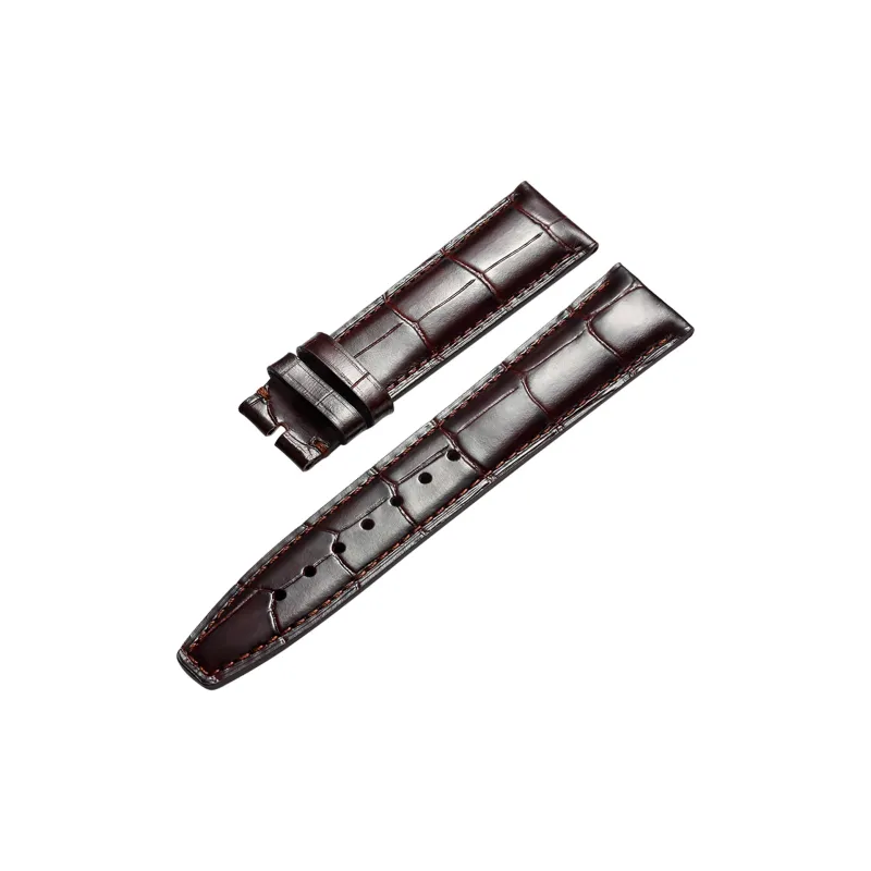 ZHISHENG Watch Band Interface Width 20/21/22mm Unisex 2021142-0