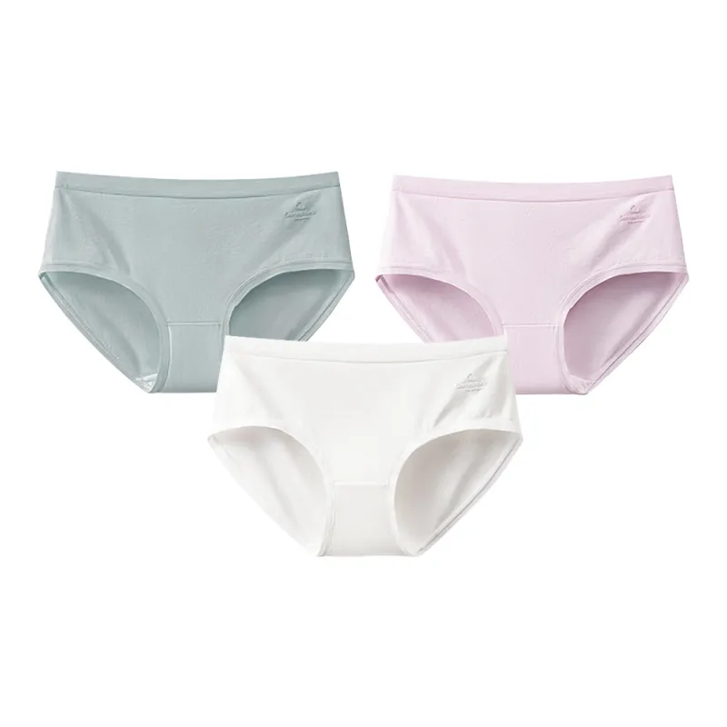SecretWorld Women's Underpants-23