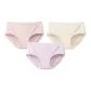 Cherry Blossom Pink+Yellow+Taro Purple