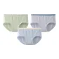 Blue Gray+Sky Blue+Green